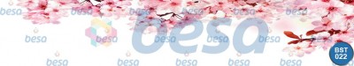 Çiçek - Spa