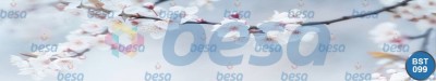 Çiçek - Spa
