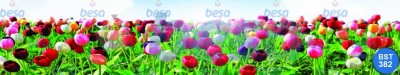 Çiçek - Spa