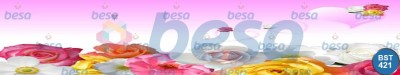 Çiçek - Spa
