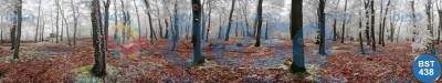 Çiçek - Spa