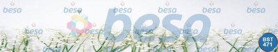 Çiçek - Spa