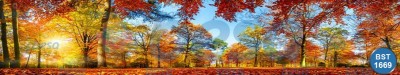 Doğa