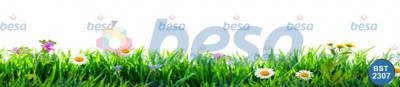 Çiçek - Spa